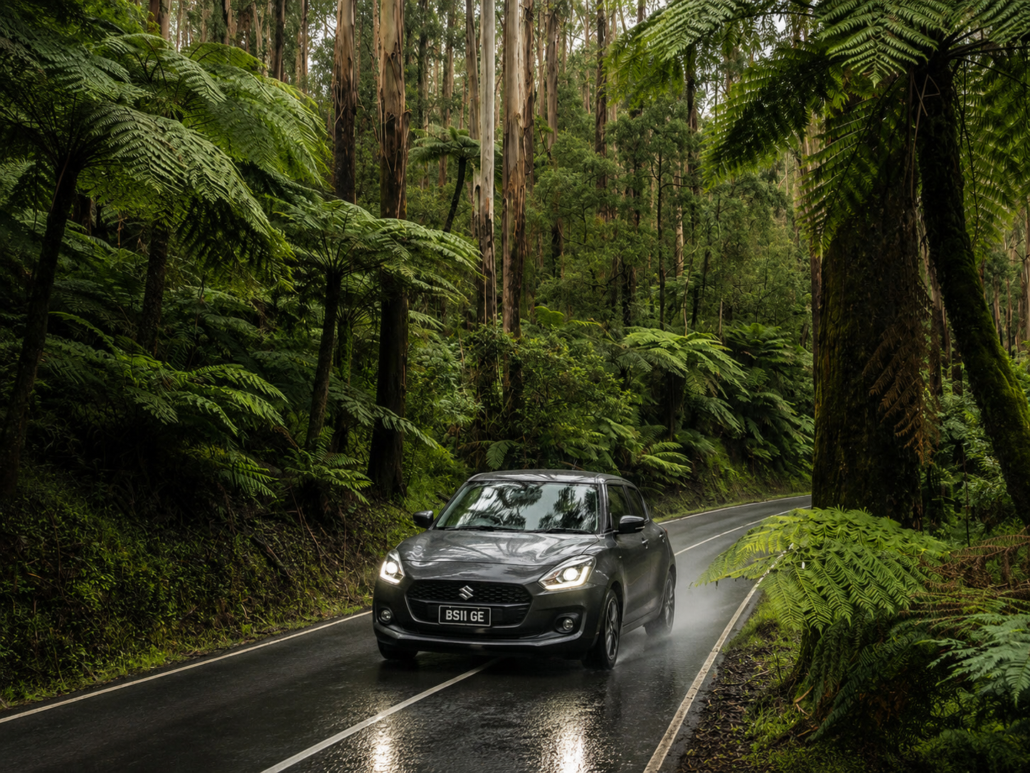 Dandenong Ranges